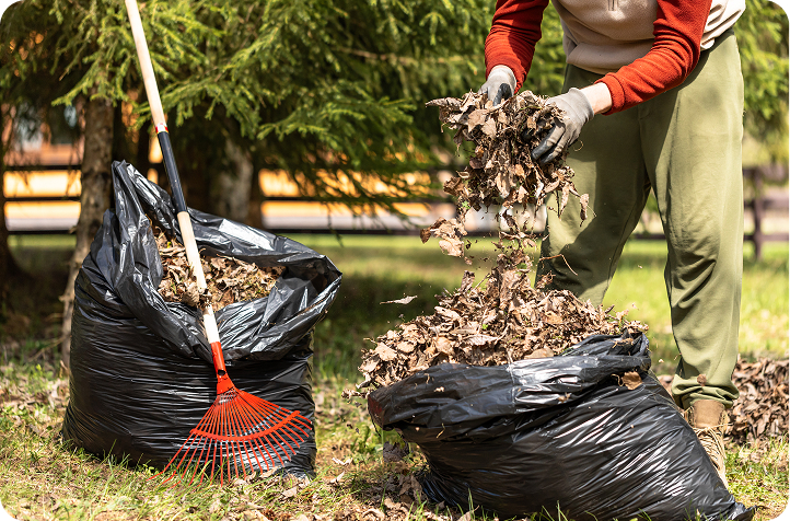 Outdoor leaf collection activity